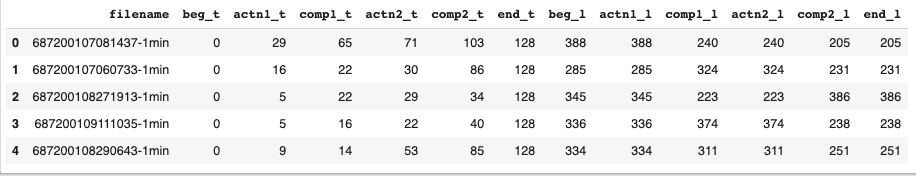 Figure 3: First few records of synthetic.csv